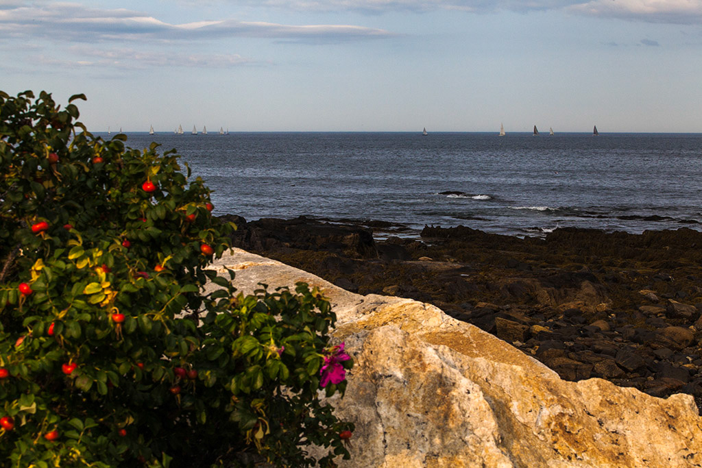 %_tempFileName20140729_9559w%