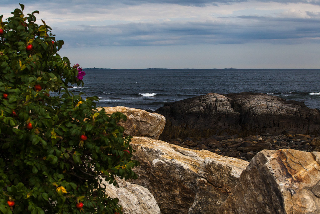 %_tempFileName20140729_9564w%