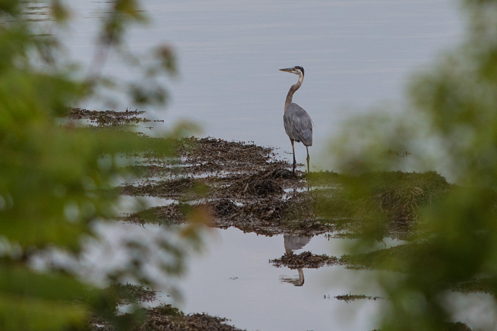 %_tempFileName20140803_9601w%
