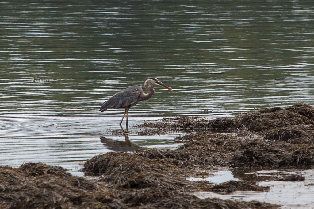 %_tempFileName20140803_9621w%
