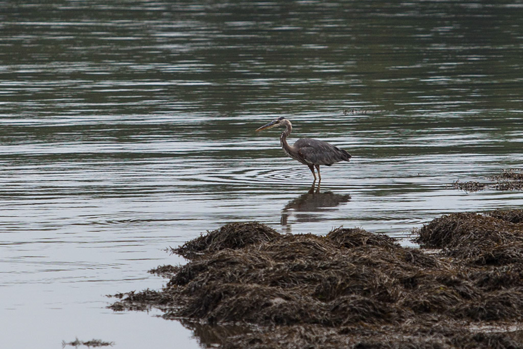 %_tempFileName20140803_9629w%
