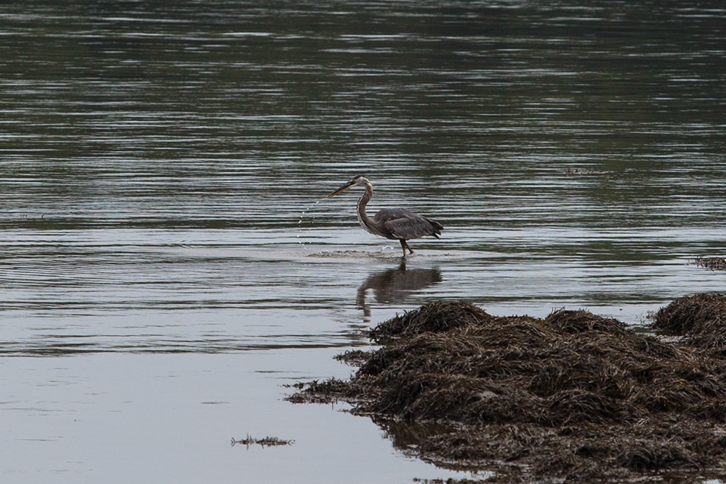 %_tempFileName20140803_9632w%
