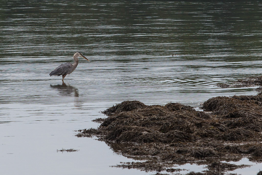 %_tempFileName20140803_9636w%