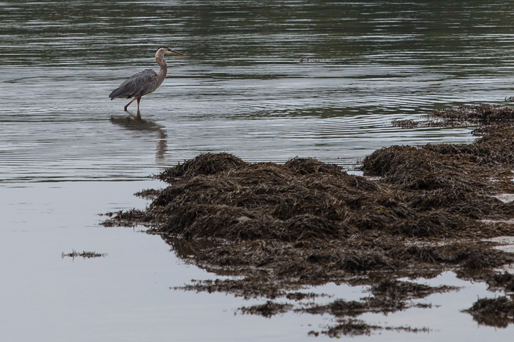 %_tempFileName20140803_9638w%