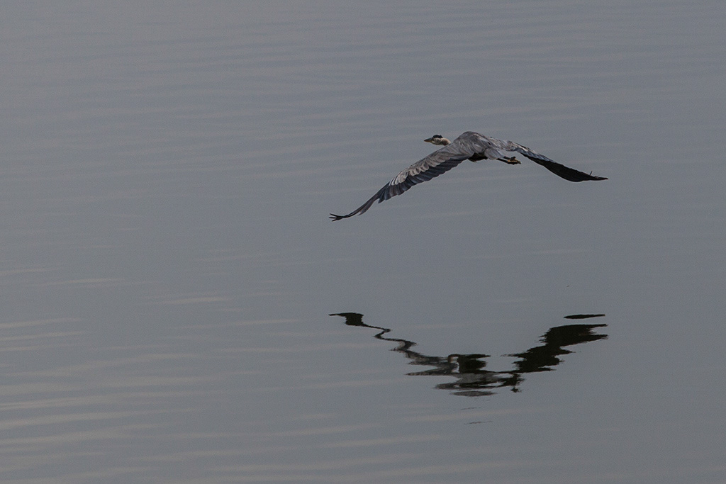 %_tempFileName20140803_9647w%
