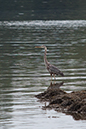 %_tempFileName20140803_9611w%