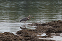 %_tempFileName20140803_9621w%