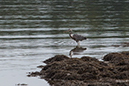 %_tempFileName20140803_9629w%