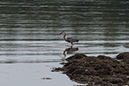 %_tempFileName20140803_9632w%
