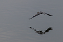 %_tempFileName20140803_9647w%