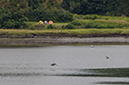 %_tempFileName20140803_9671w%