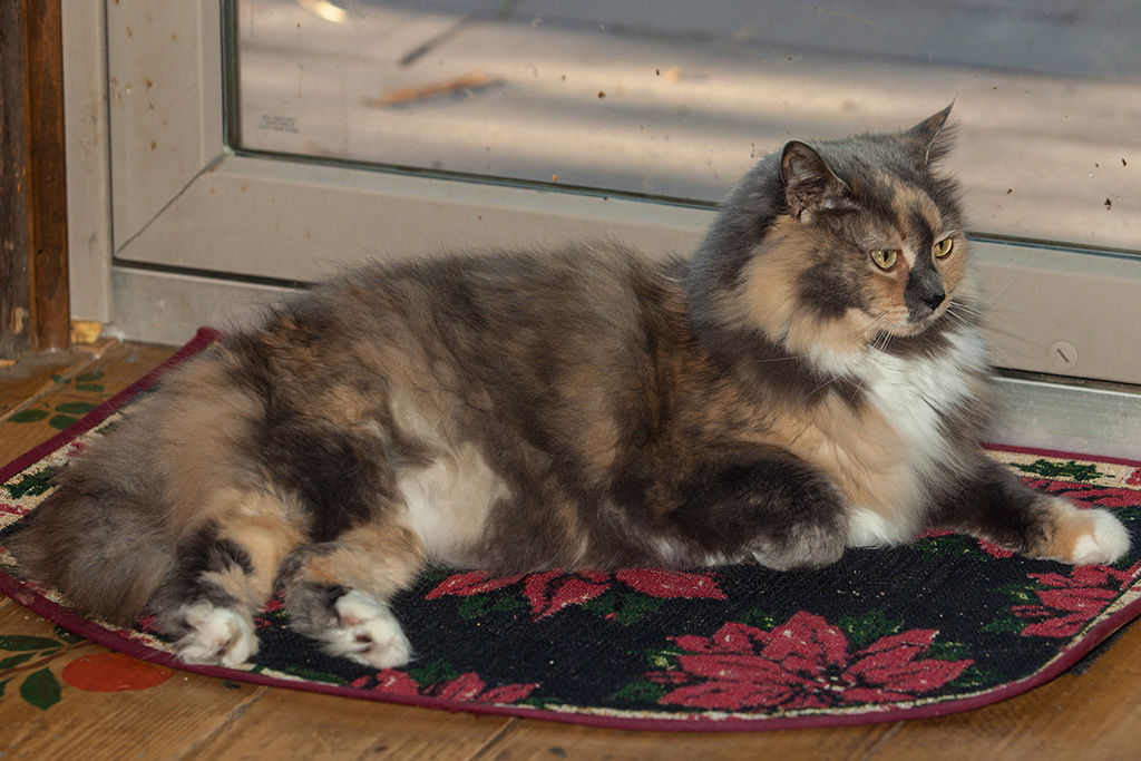 %_tempFileName20141229_0879w%