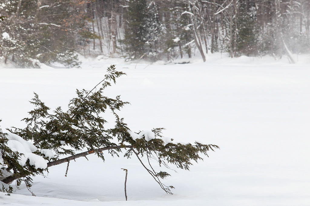 %_tempFileName20150215_1106w%