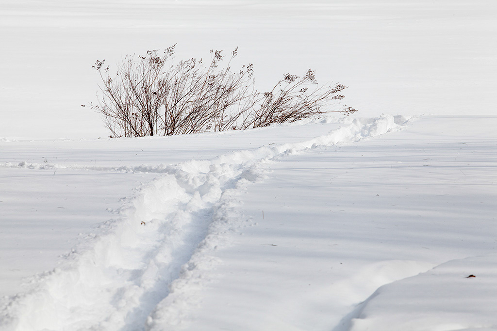 %_tempFileName20150215_1112w%