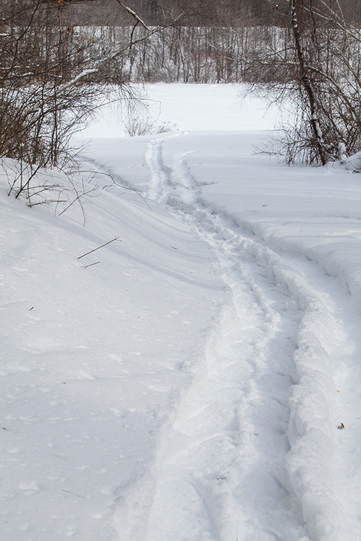 %_tempFileName20150215_1118w%