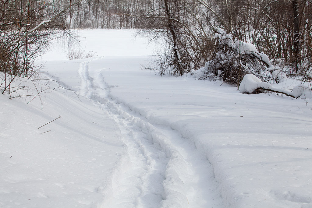 %_tempFileName20150215_1119w%