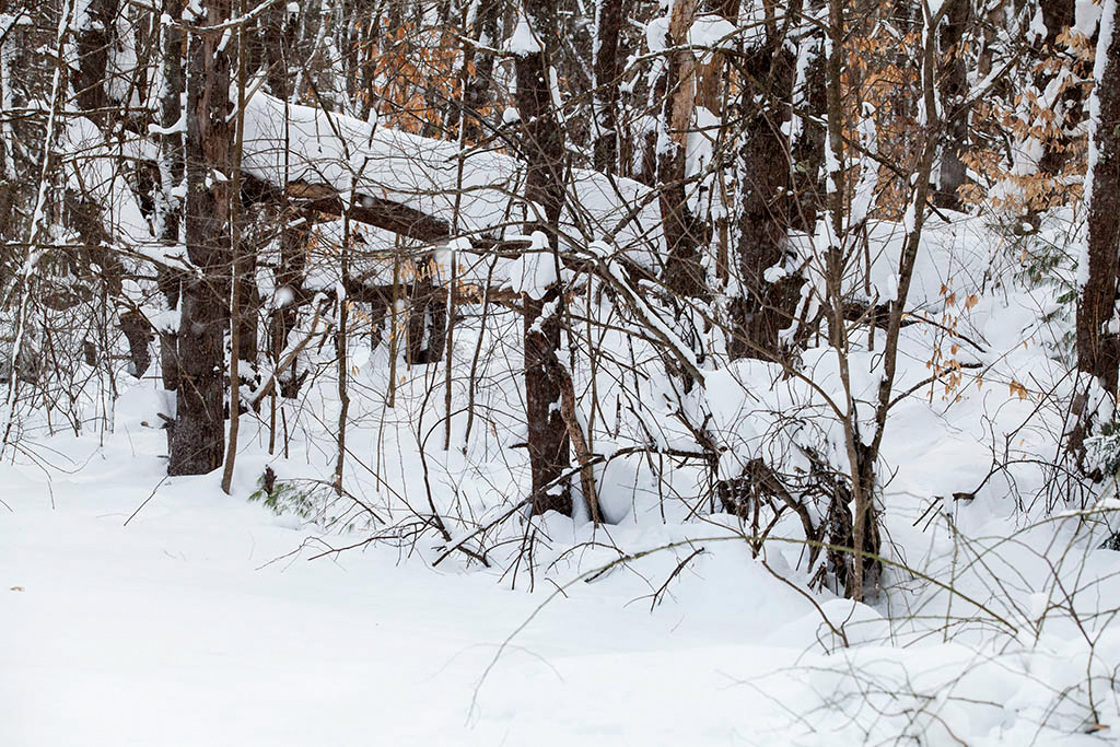 %_tempFileName20150215_1122w%