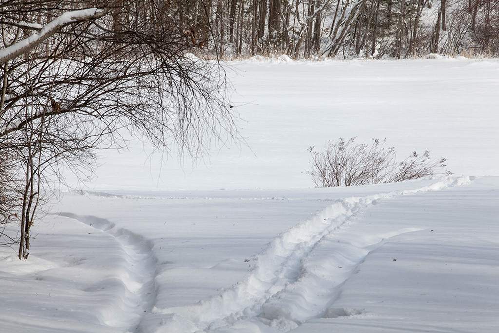 %_tempFileName20150215_1125w%