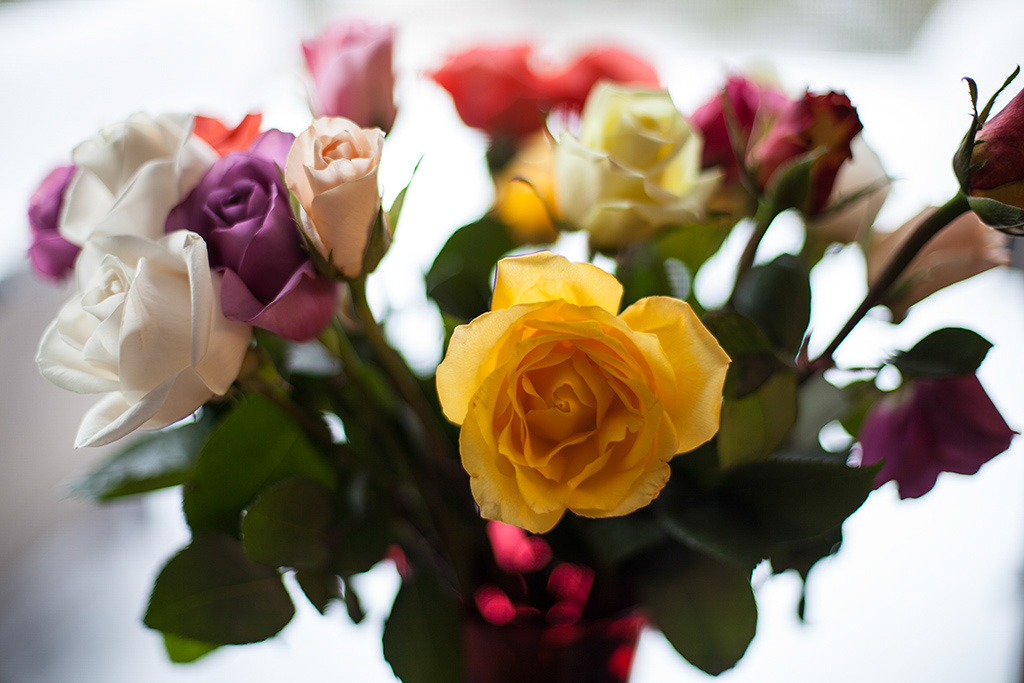 %_tempFileName20150215_1146w%