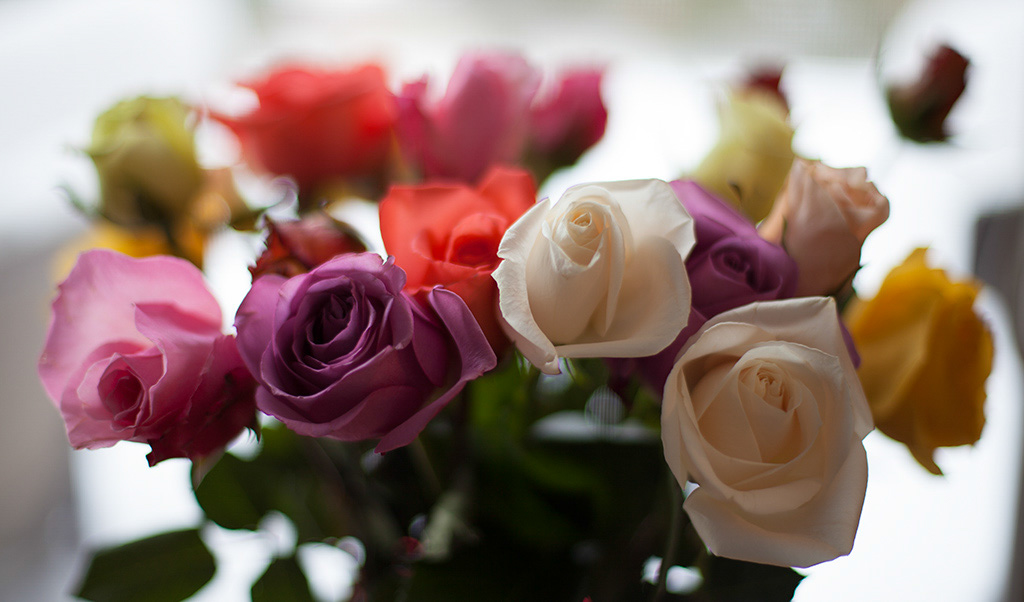 %_tempFileName20150215_1148w%