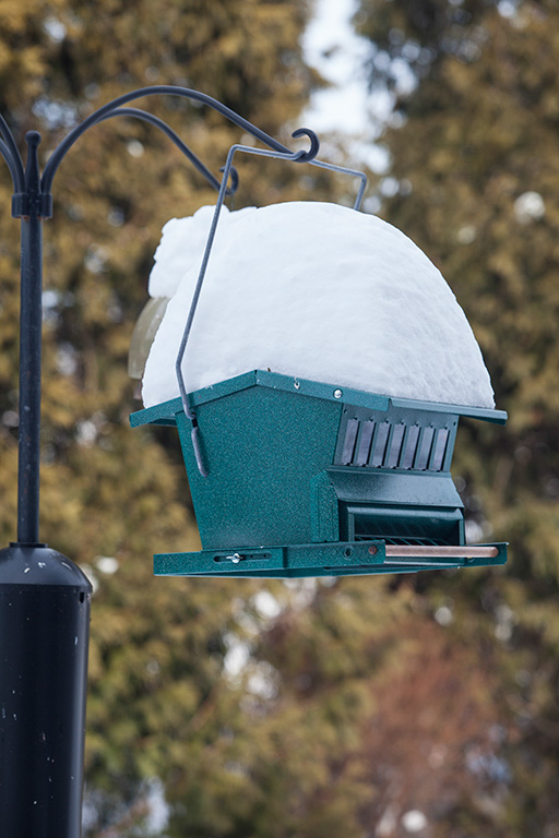 %_tempFileName20150215_1162w%