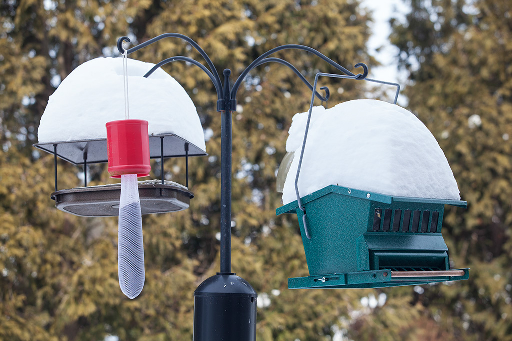 %_tempFileName20150215_1163w%