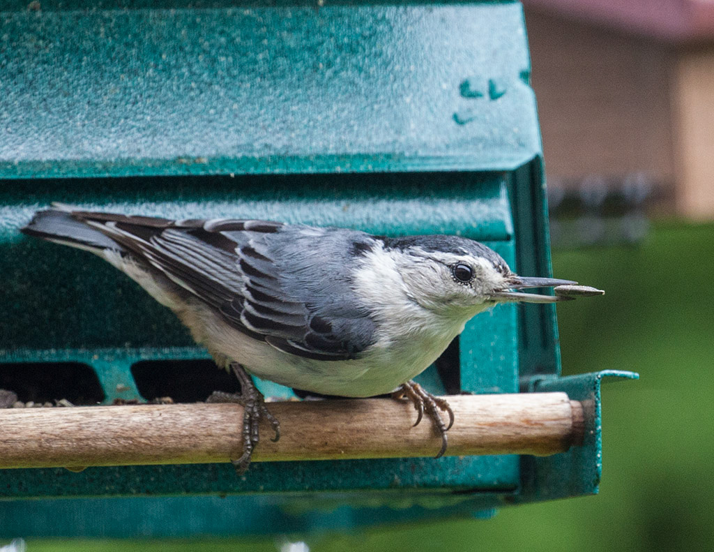 %_tempFileName20150622_4362w%