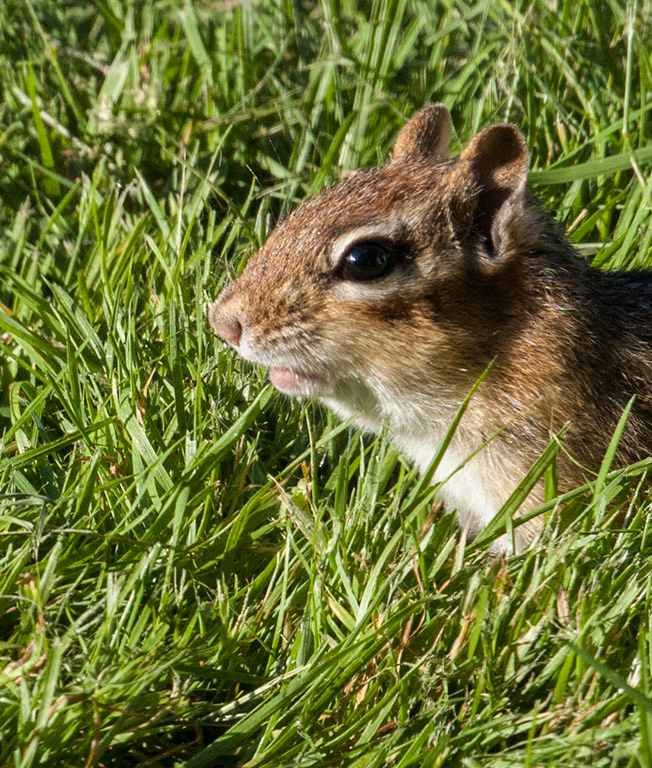 %_tempFileName20150622_4665w%