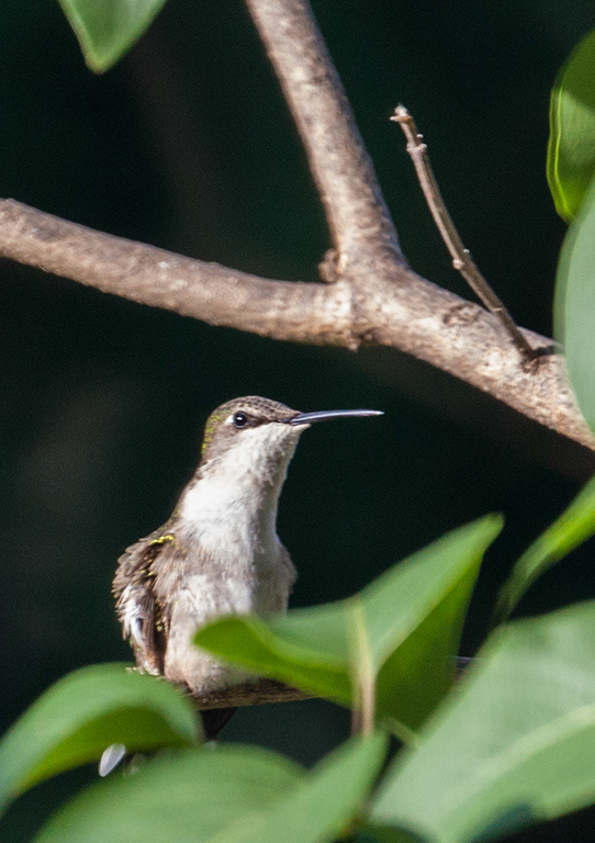 %_tempFileName20150622_4703w%