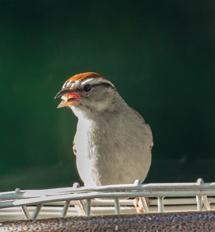 %_tempFileName20150622_4717w%