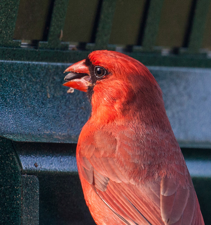 %_tempFileName20150622_4733w%