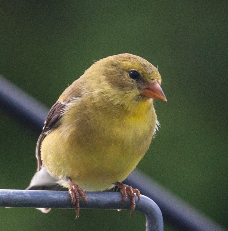 %_tempFileName20150622_4771w%