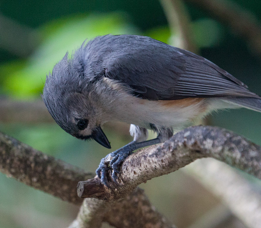 %_tempFileName20150622_4780w%