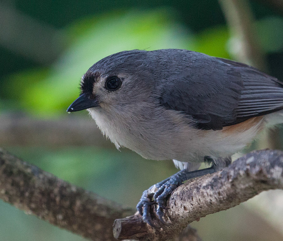 %_tempFileName20150622_4782w%