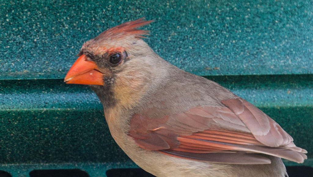 %_tempFileName20150622_4803w%