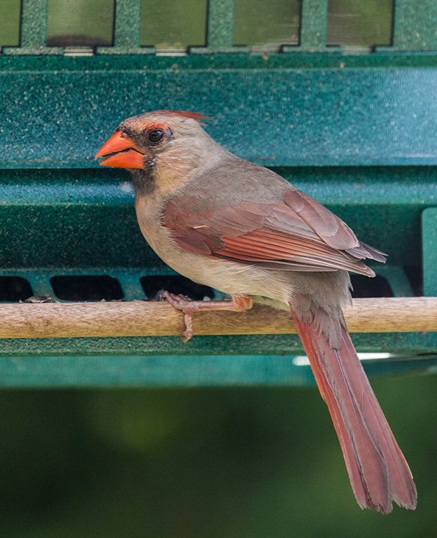 %_tempFileName20150622_4814w%