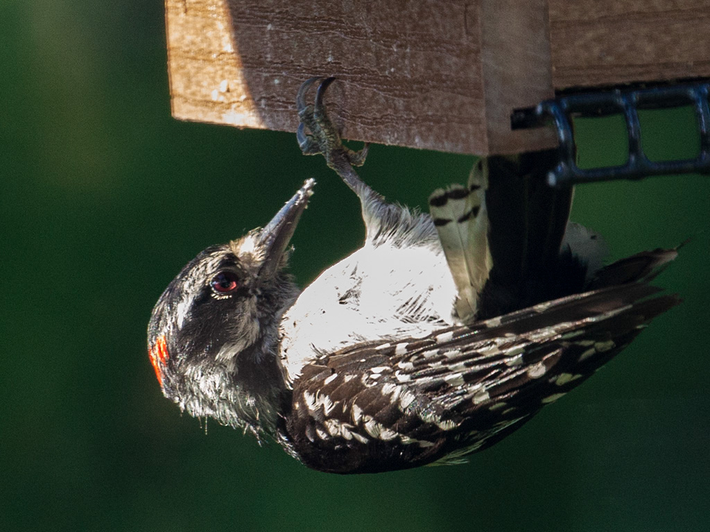 %_tempFileName20150622_4824w%