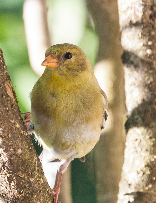 %_tempFileName20150622_4845w%