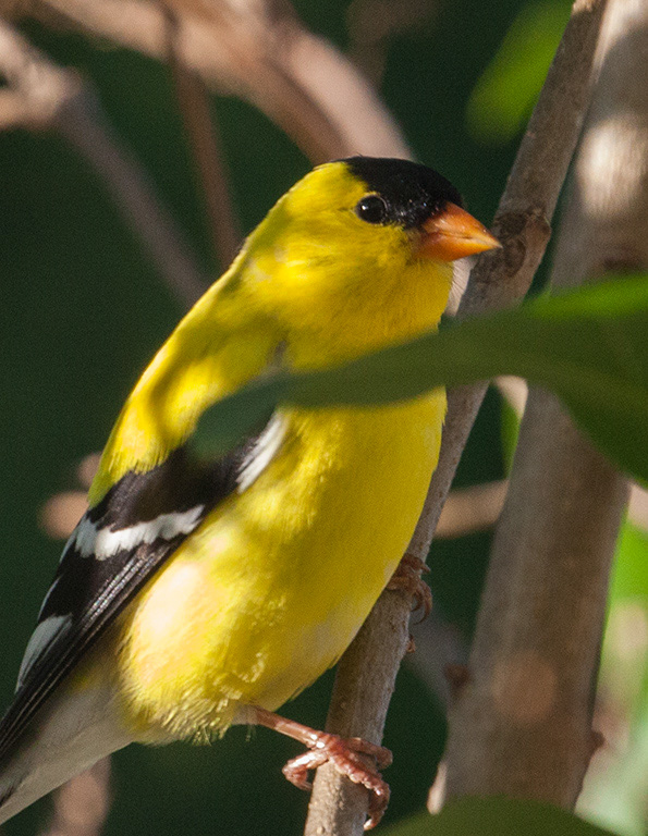 %_tempFileName20150622_4856w%