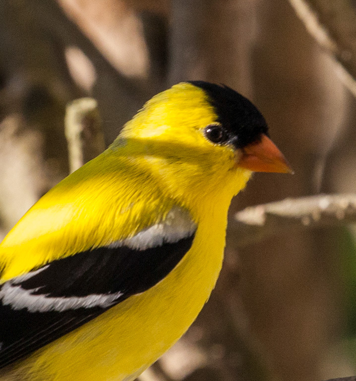 %_tempFileName20150622_4863w%