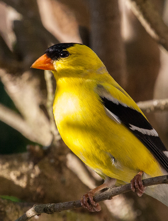 %_tempFileName20150622_4882w%