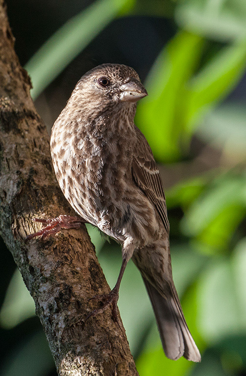 %_tempFileName20150622_4901w%