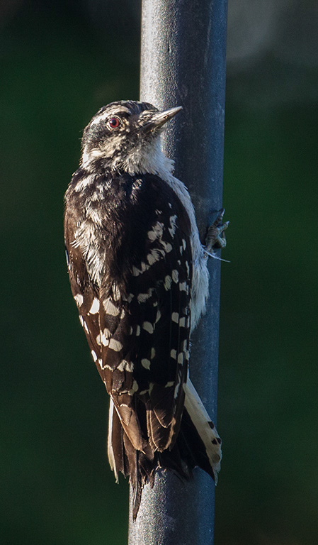 %_tempFileName20150622_4919w%