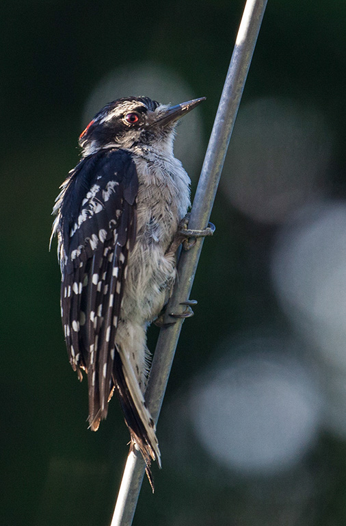 %_tempFileName20150622_4933w%