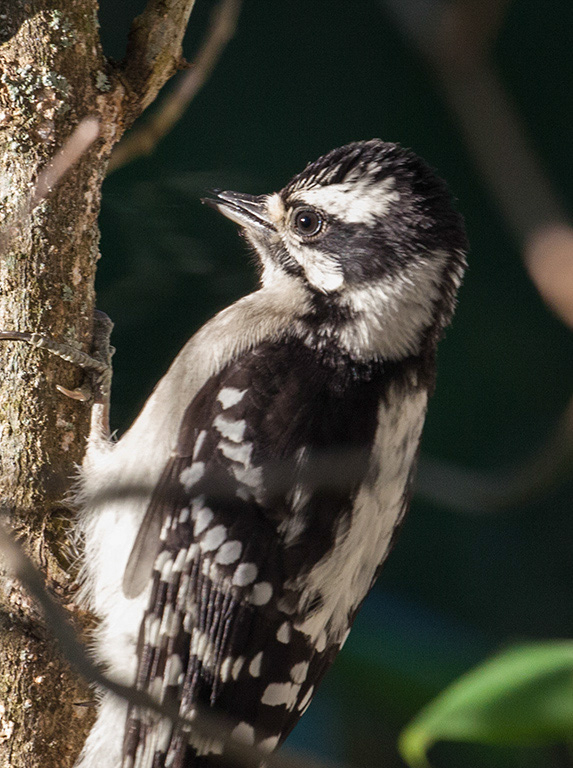 %_tempFileName20150622_4940w%