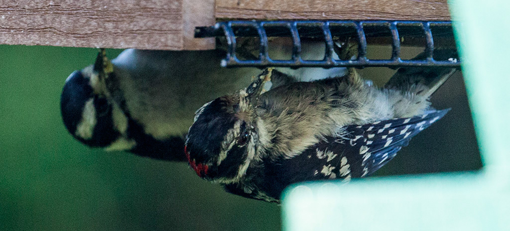 %_tempFileName20150622_4943w%