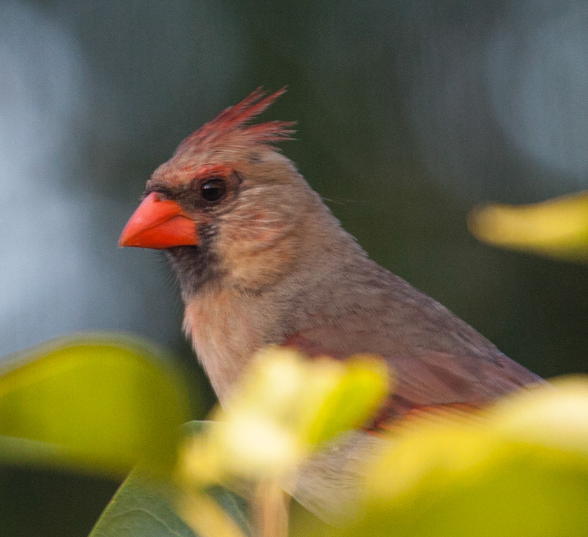 %_tempFileName20150622_4957w%