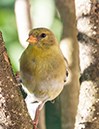 %_tempFileName20150622_4845w%