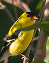 %_tempFileName20150622_4856w%