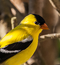 %_tempFileName20150622_4863w%